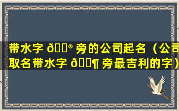 带水字 💮 旁的公司起名（公司取名带水字 🐶 旁最吉利的字）